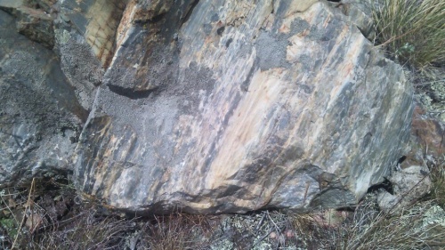 Гигантские зелёные валуны для ландшафтного дизайна весом более 5 тонн купить в Удмуртской Республике